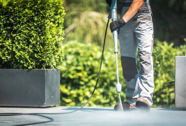 Best Rust Removal  in Kulpmont, PA