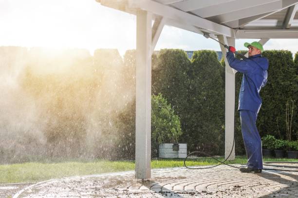 Best Fence Cleaning  in Kulpmont, PA