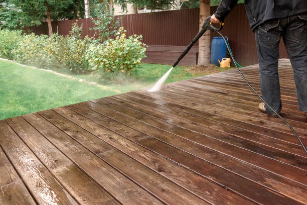 Best Sidewalk and Walkway Cleaning  in Kulpmont, PA